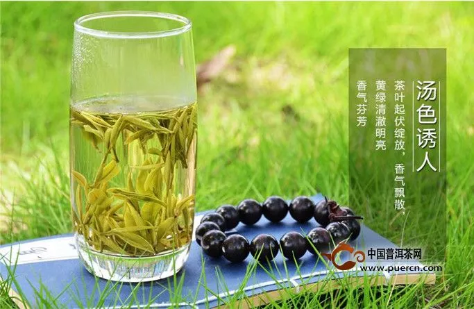 霍山黄芽是什么茶